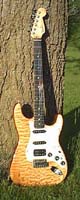 fender strat tree