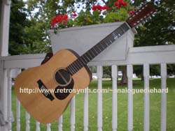 12-string