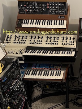 synths rear
                1